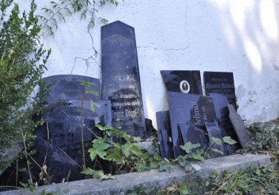 Sedláček Hugo, 2016