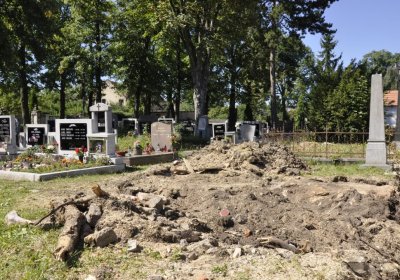 Sedláček Hugo, 2016