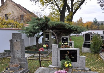 Údlice obecní, Omnium, 2020