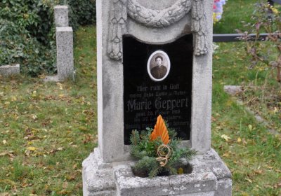Údlice obecní, Omnium, 2020