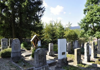 Sedláček Hugo, 2016