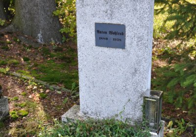 České Hamry, Omnium, 2020