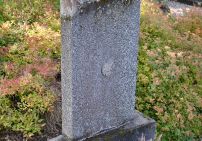 České Hamry, Omnium, 2020