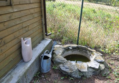 České Hamry, Omnium, 2020