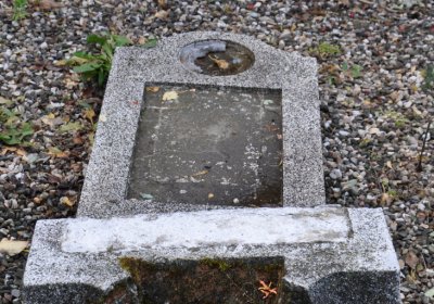 České Hamry, Omnium, 2020