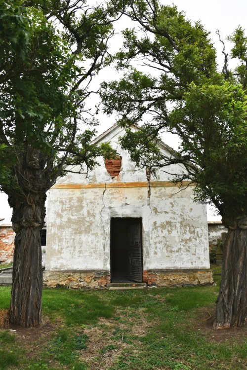 Vitčice