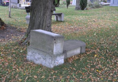 Vilémov obecní, Omnium, 2020