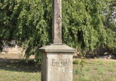 Sedláček Hugo, 2015