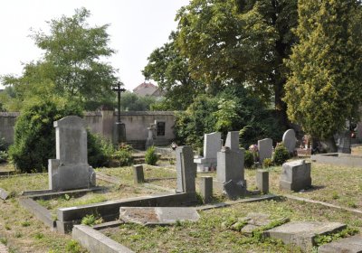 Sedláček Hugo, 2015