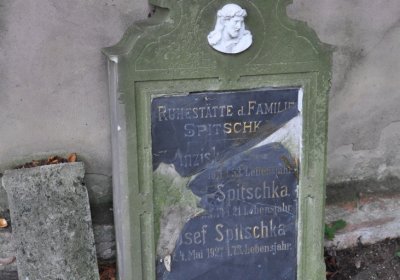 Všestudy, Omnium, 2020