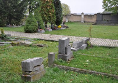 Všestudy, Omnium, 2020