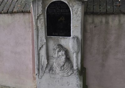 Všestudy, Omnium, 2020