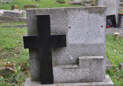 Všestudy, Omnium, 2020