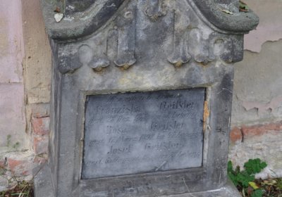 Všestudy, Omnium, 2020