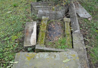 Všestudy, Omnium, 2020