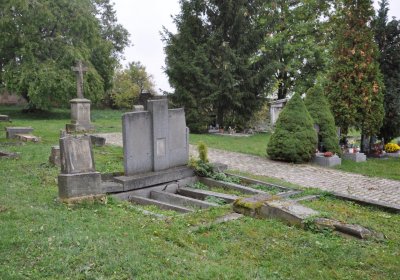 Všestudy, Omnium, 2020