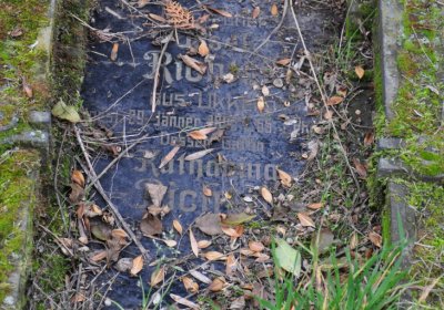 Všestudy, Omnium, 2020