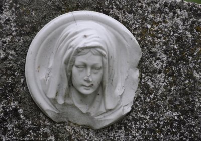 Všestudy, Omnium, 2020