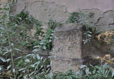 Všestudy, Omnium, 2020