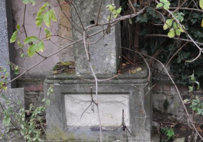 Všestudy, Omnium, 2020