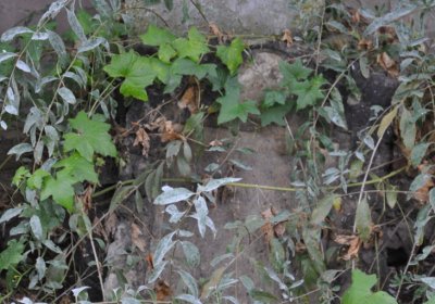 Všestudy, Omnium, 2020