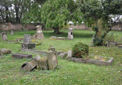 Všestudy, Omnium, 2020