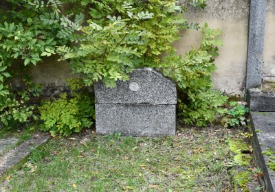 Všestudy, Omnium, 2020