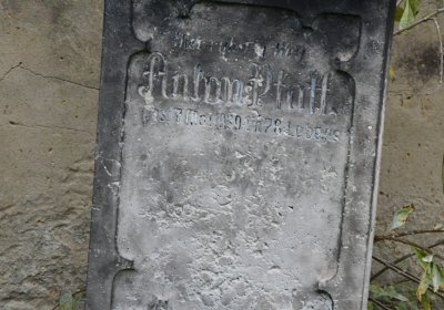 Všestudy, Omnium, 2020