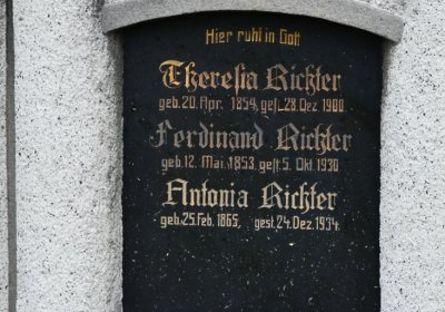 Všestudy, Omnium, 2020