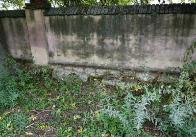 Všestudy, Omnium, 2020