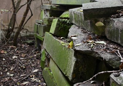 Všestudy, Omnium, 2020