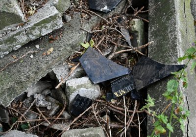 Všestudy, Omnium, 2020