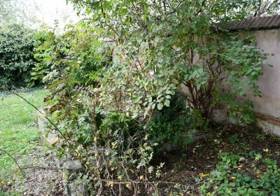 Všestudy, Omnium, 2020