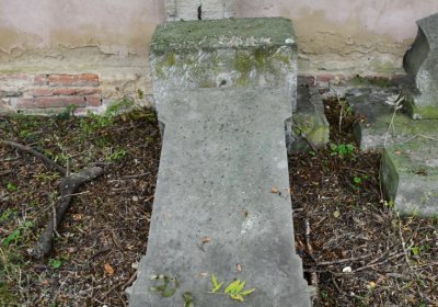 Všestudy, Omnium, 2020