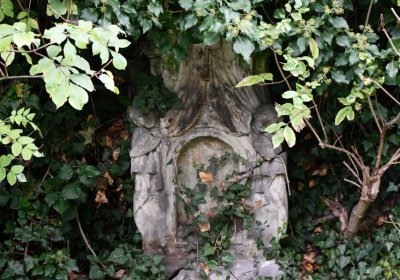 Všestudy, Omnium, 2020