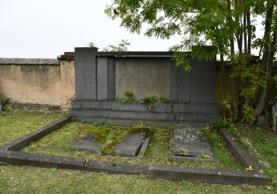 Všestudy, Omnium, 2020