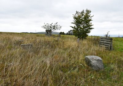 Volyně, Omnium, 2020