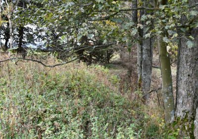 Volyně, Omnium, 2020