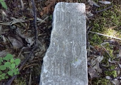 Kmínek Michal, 2019