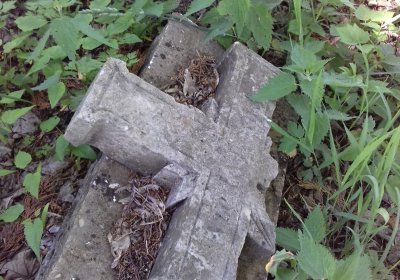 Kmínek Michal, 2019