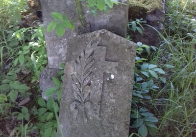 Kmínek Michal, 2019