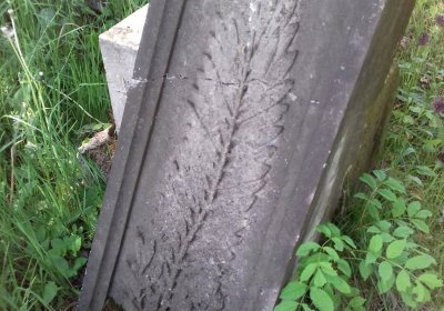 Kmínek Michal, 2019