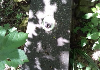 Kmínek Michal, 2019