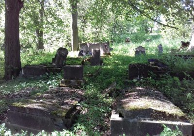 Kmínek Michal, 2019