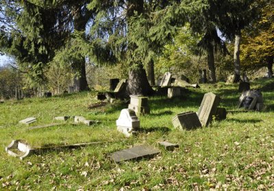 Sedláček Hugo, 2014