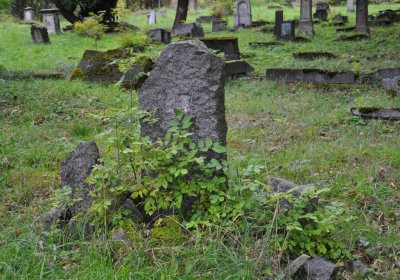 Výsluní, Omnium, 2020