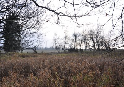 Rusová, Omnium, 2020