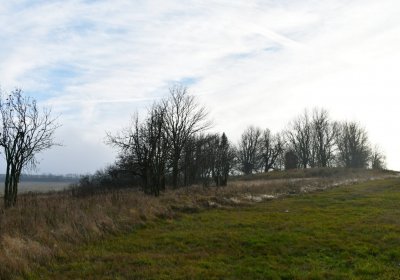 Rusová, Omnium, 2020