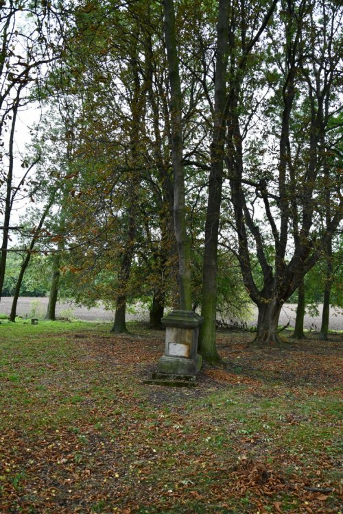 Radechov