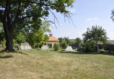 Sedláček Hugo, 2016